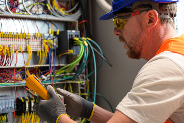 Best Electric Panel Repair  in Eagle Grove, IA