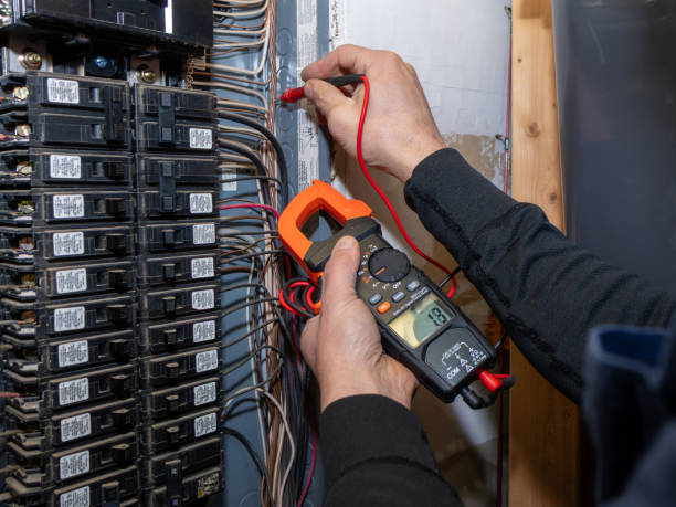 Best Electrical System Inspection  in Eagle Grove, IA
