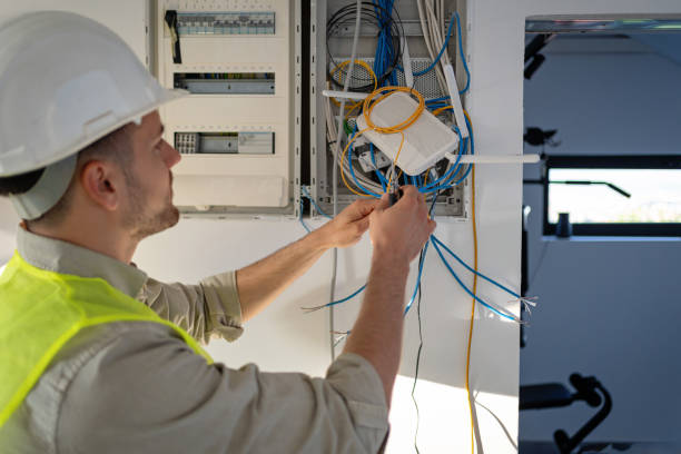 Best Electric Panel Repair  in Eagle Grove, IA